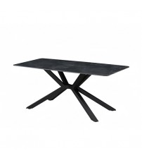 Rex Dining Table 1x with 6pcs Billy Dining Chair