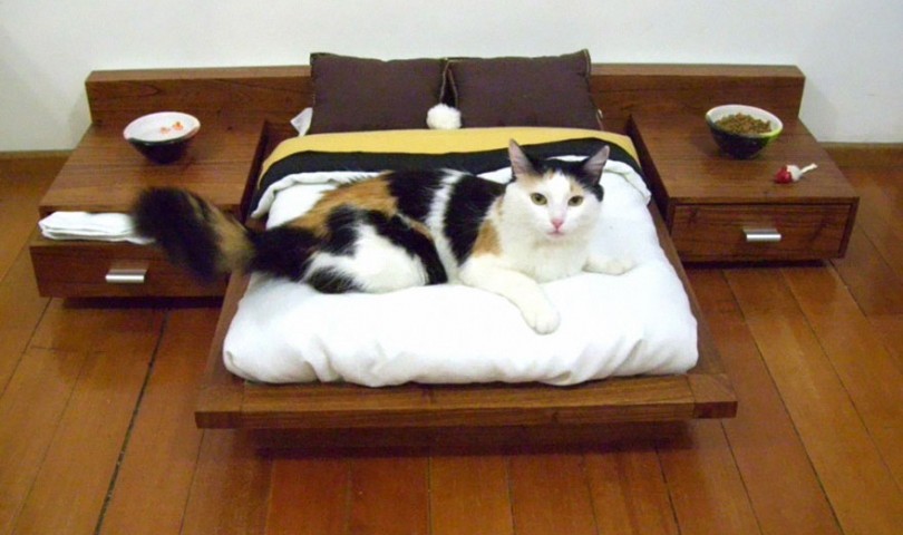 22 Awesome Furniture Design Ideas For Cat Lovers