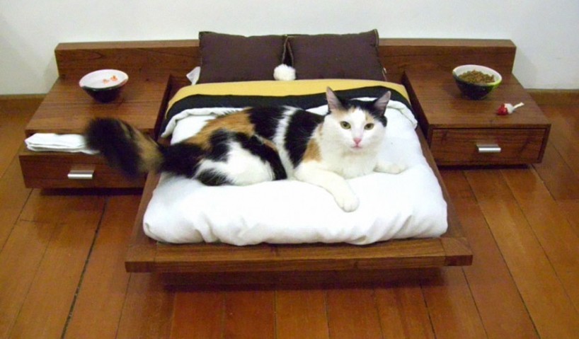 22 Awesome Furniture Design Ideas For Cat Lovers